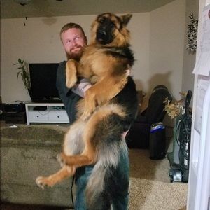 Meet your Posher, Chad